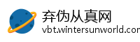 弃伪从真网
